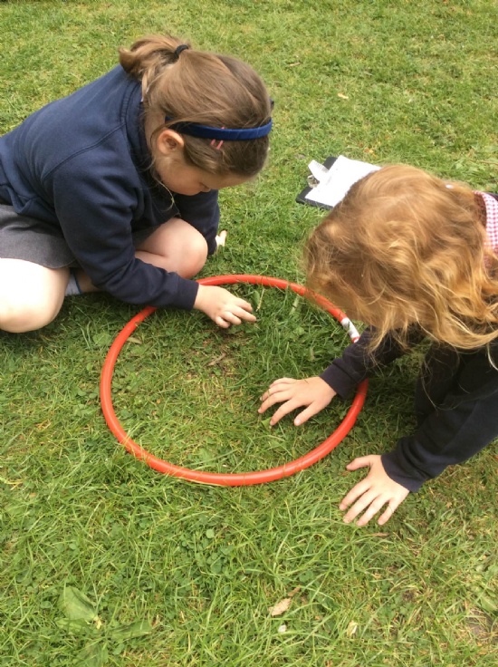 Year 2 Science Mini Beasts